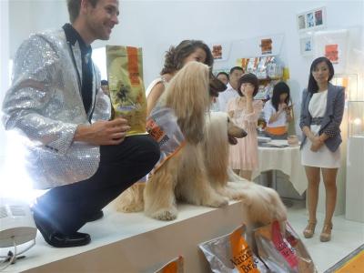 【上海宠物美容医疗培训|上海宠物美容医疗培