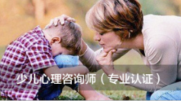 上海德瑞姆教育少儿心理咨询师培训学校