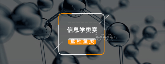 上海信息学奥赛编程培训机构